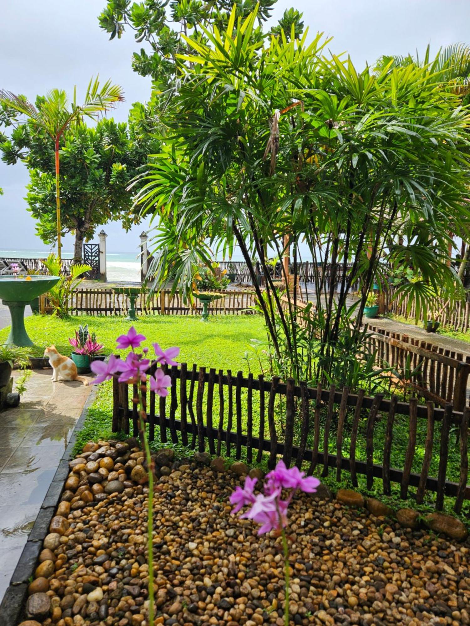 Balance Beach Resort Dikwella Exterior foto