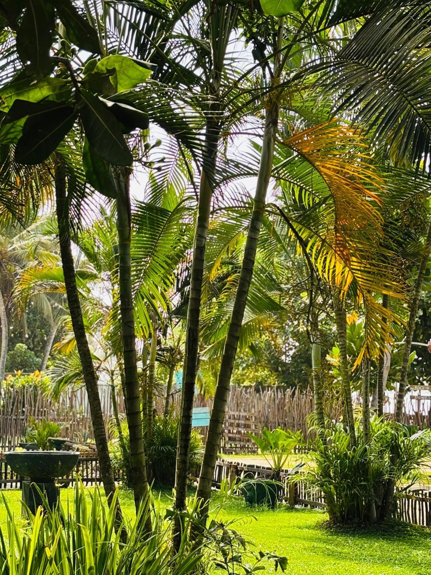Balance Beach Resort Dikwella Exterior foto